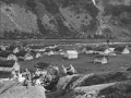 herdal1920